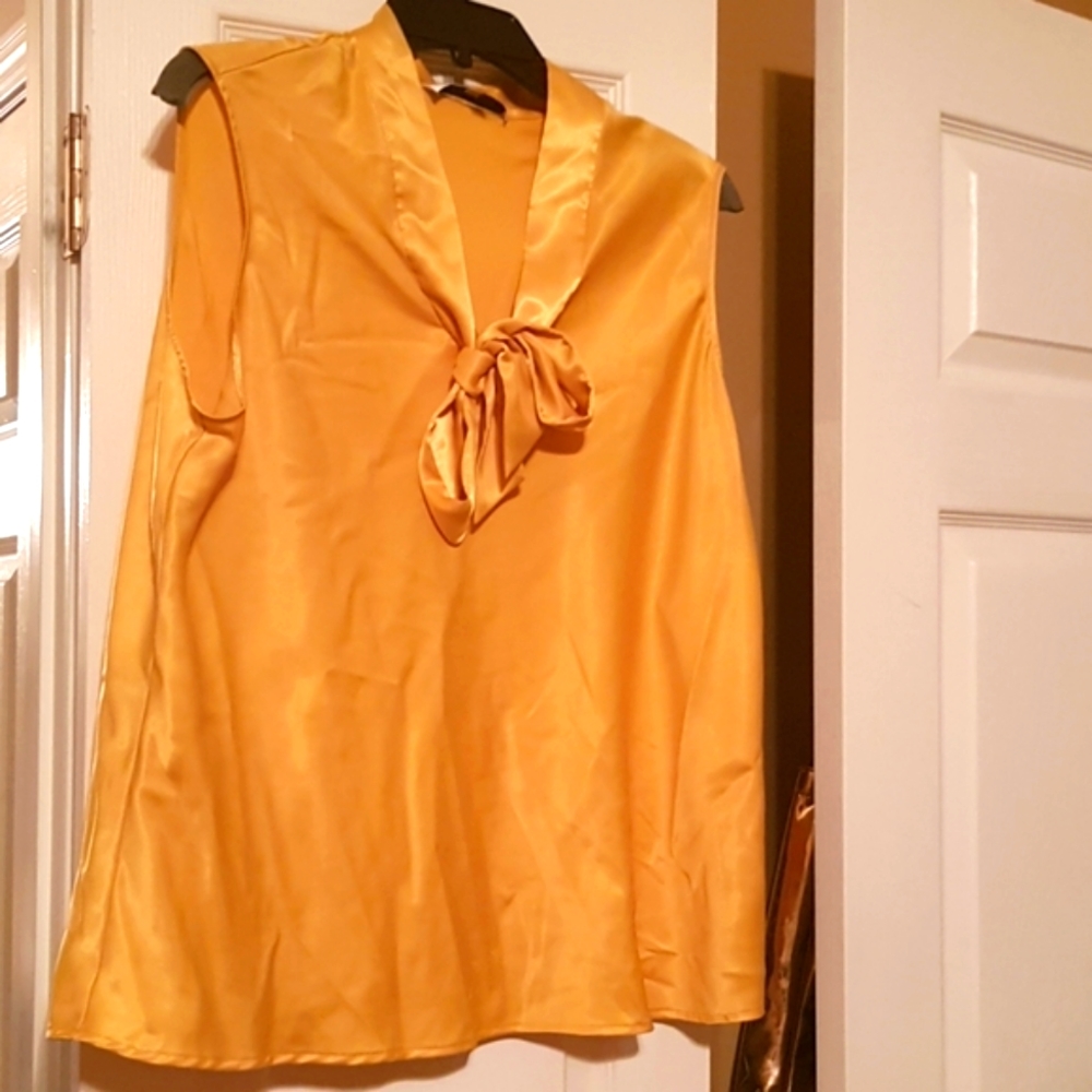 Kasper Dress Blouse